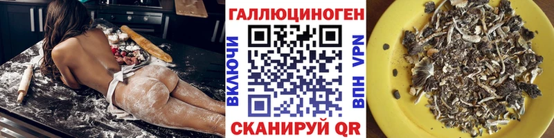 OMG как войти  Тутаев  Псилоцибиновые грибы ЛСД  где купить наркоту 